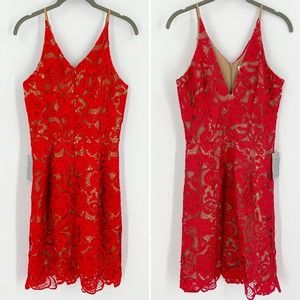DRESS THE POPULATION Red Lace Spaghetti Strap Mini Dress V Neck Size Medium NEW